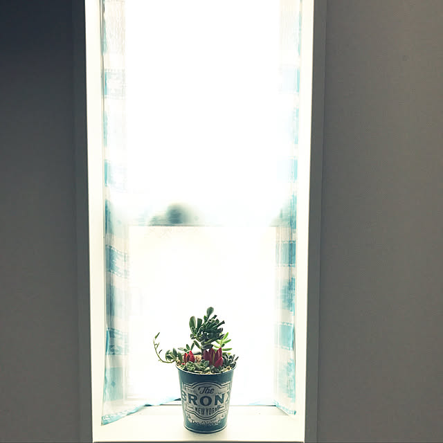 walzさんの実例写真