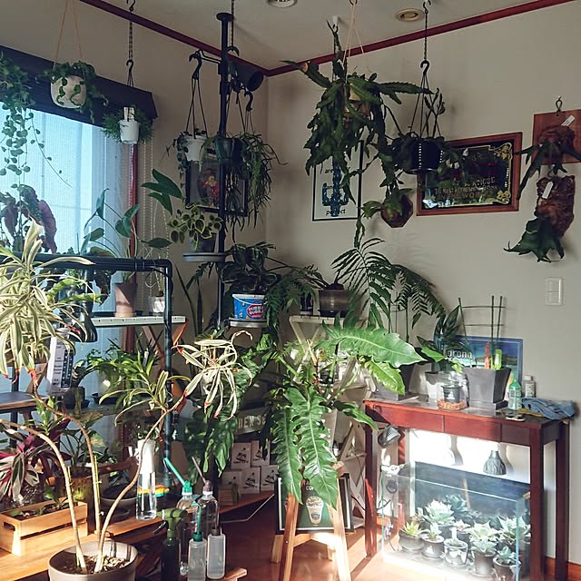 ot-gardenさんの部屋