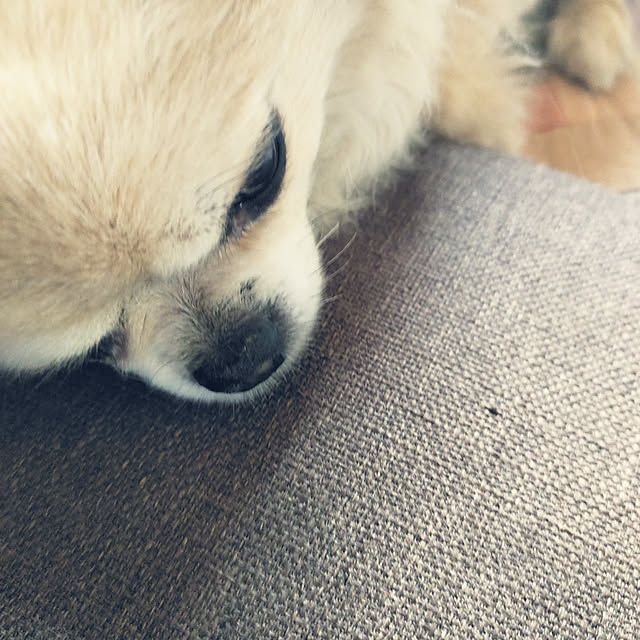 kiraさんの実例写真
