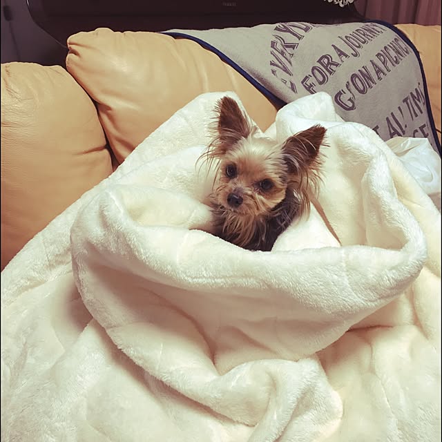 tiaraさんの実例写真