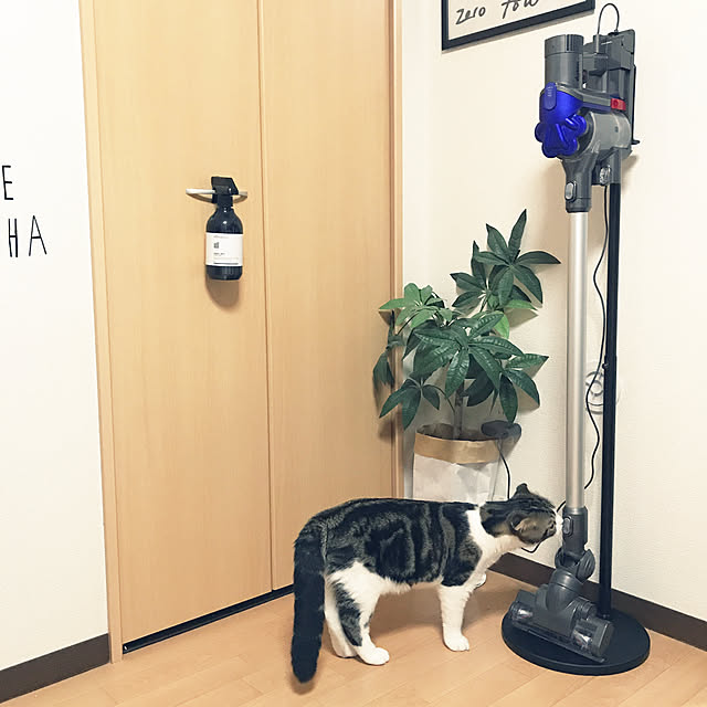 tansukeさんの実例写真