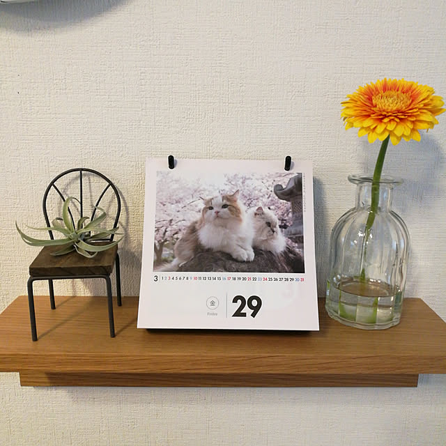 mtmkさんの実例写真