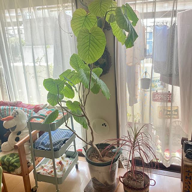 heidiさんの実例写真