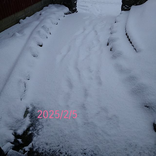 ameamekaasanさんの部屋