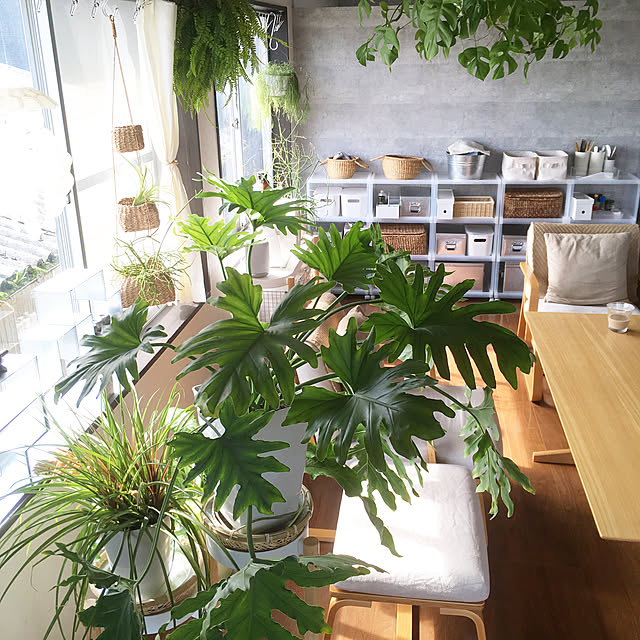 hira_muji_mihiさんの実例写真