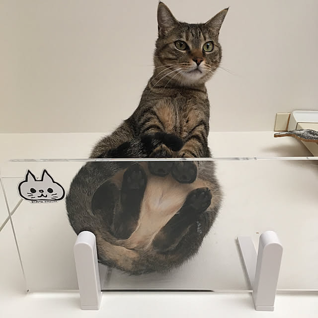 mikomaruさんの実例写真