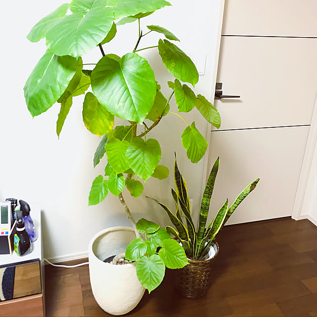 yukoさんの実例写真