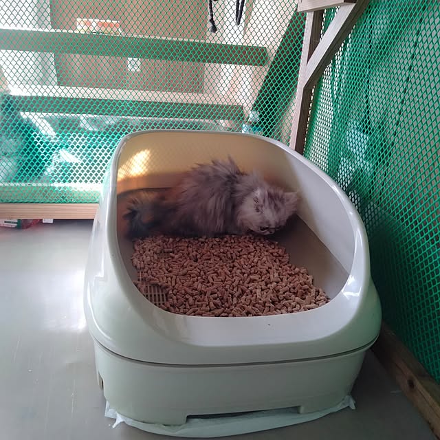 makaronさんの部屋