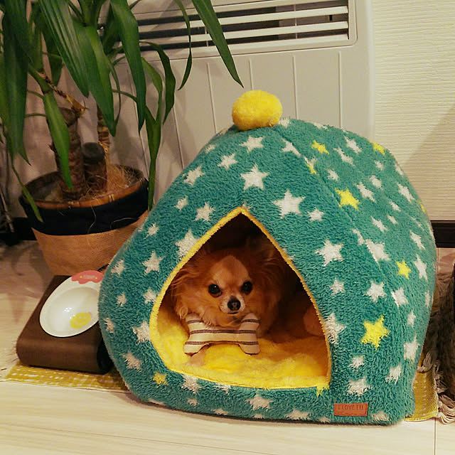 kojikojiさんの実例写真