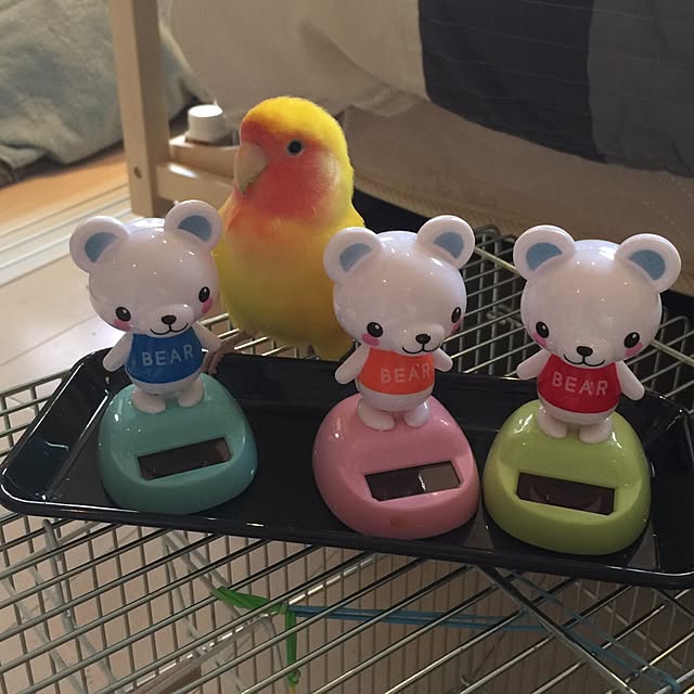 maitanさんの実例写真