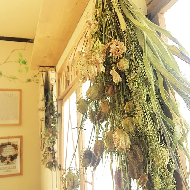 takaさんの実例写真