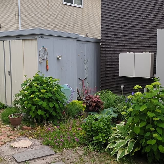 ranmamaさんの部屋