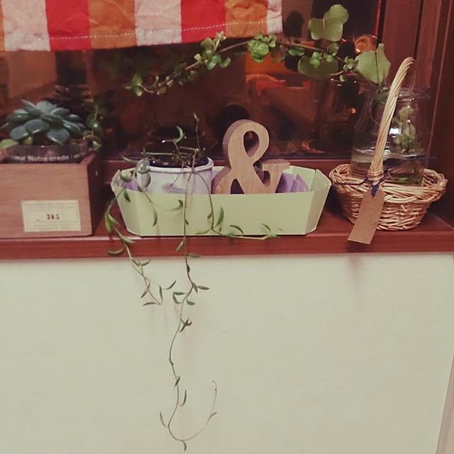 takeさんの実例写真
