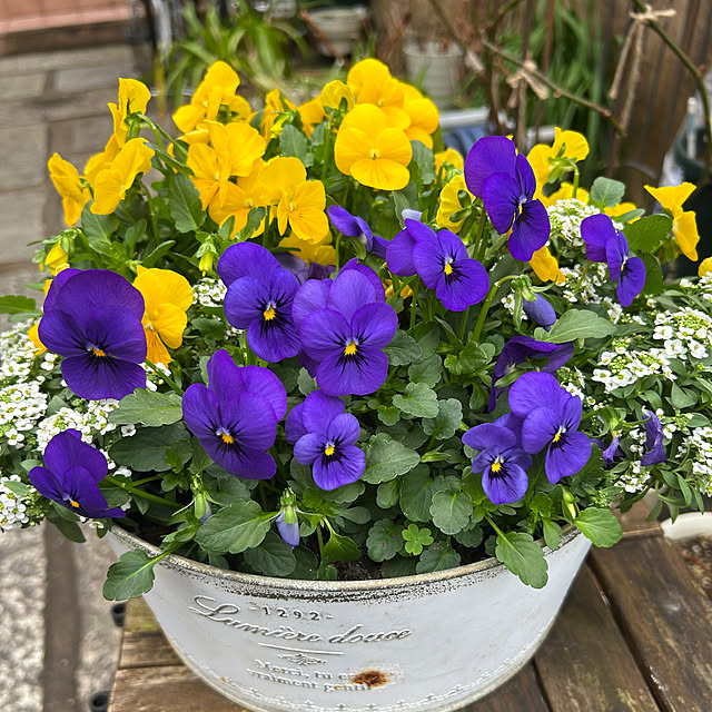 fumikoiさんの部屋