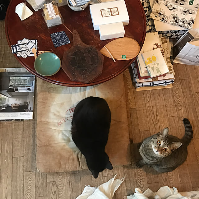 neko-2.2.2runmuさんの実例写真
