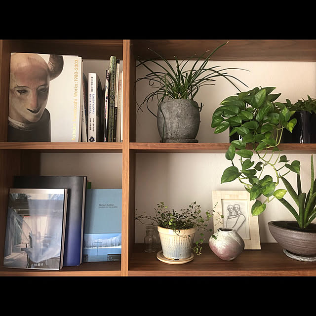 gfさんの実例写真