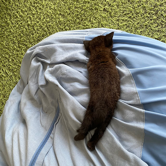 okapiさんの部屋