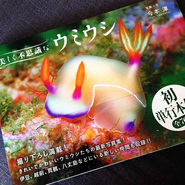 mojyaさんの実例写真