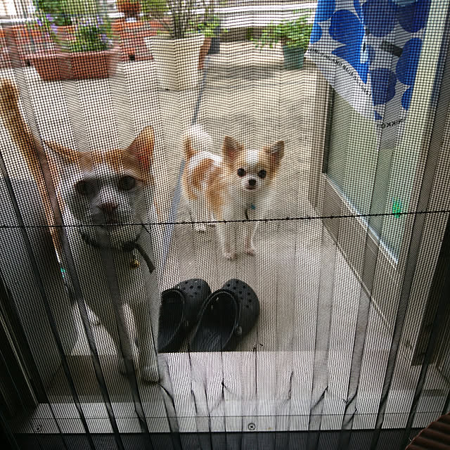porinさんの実例写真