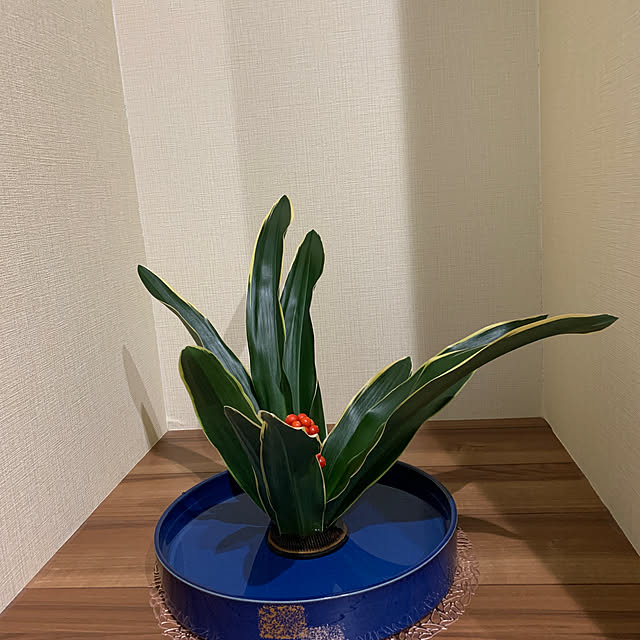 tomoさんの実例写真
