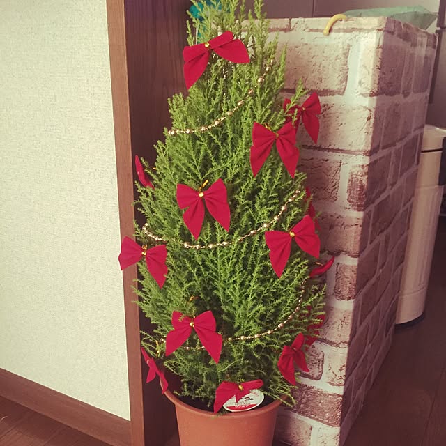 namiさんの実例写真