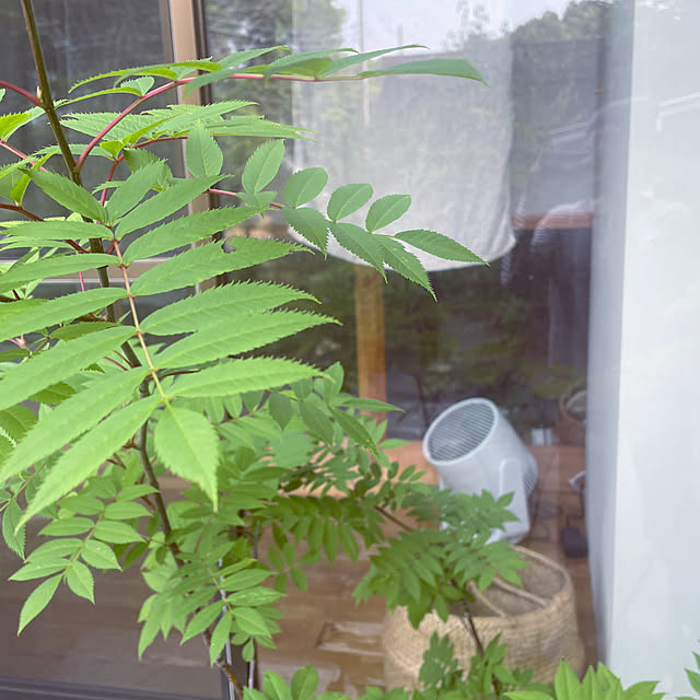 marucoさんの部屋