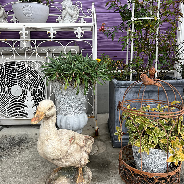 AYUKOさんの部屋