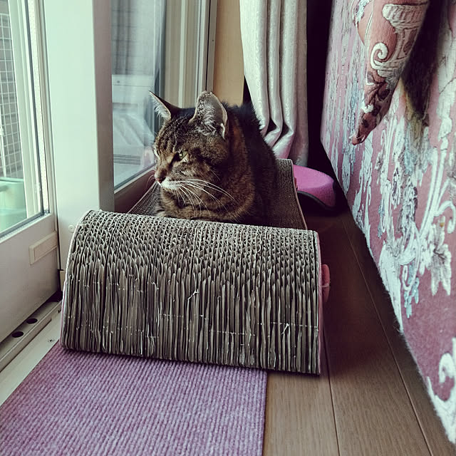 lilyさんの実例写真