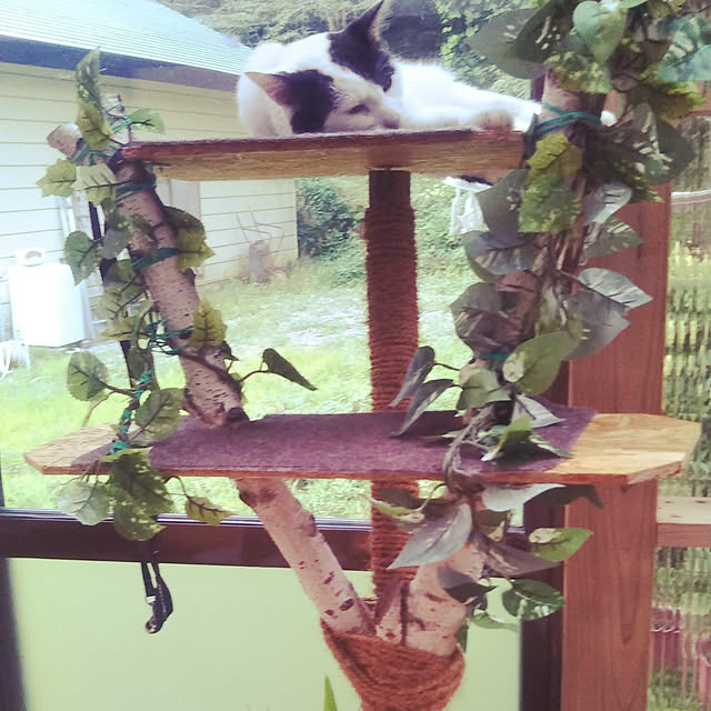 myさんの実例写真