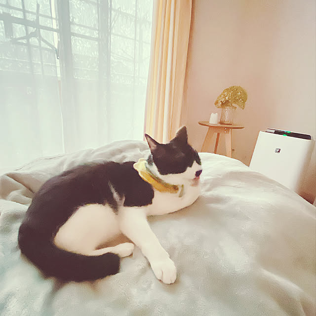 moolさんの実例写真