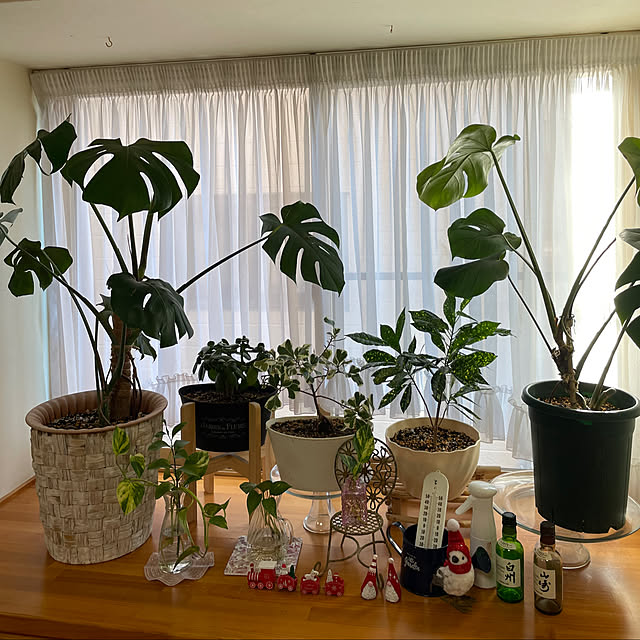 kakoさんの実例写真