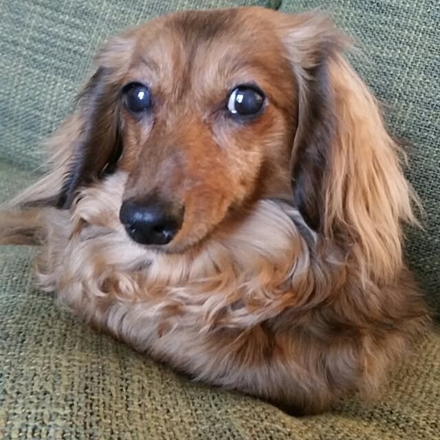 hitomiさんの実例写真