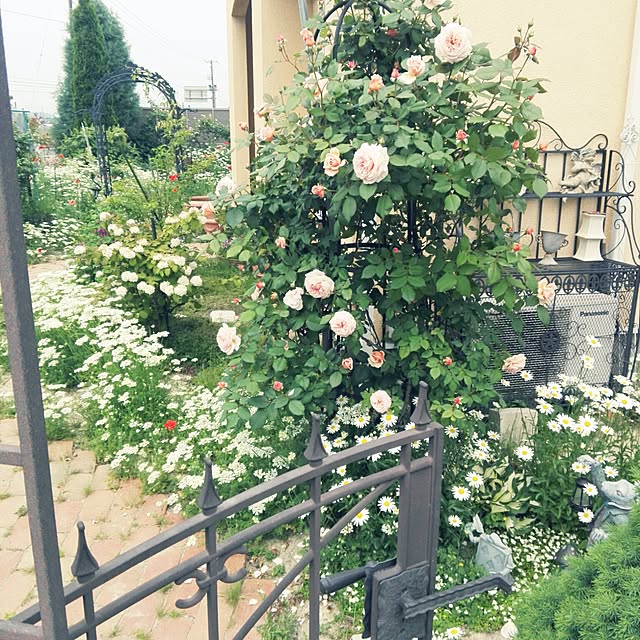 noraさんの実例写真
