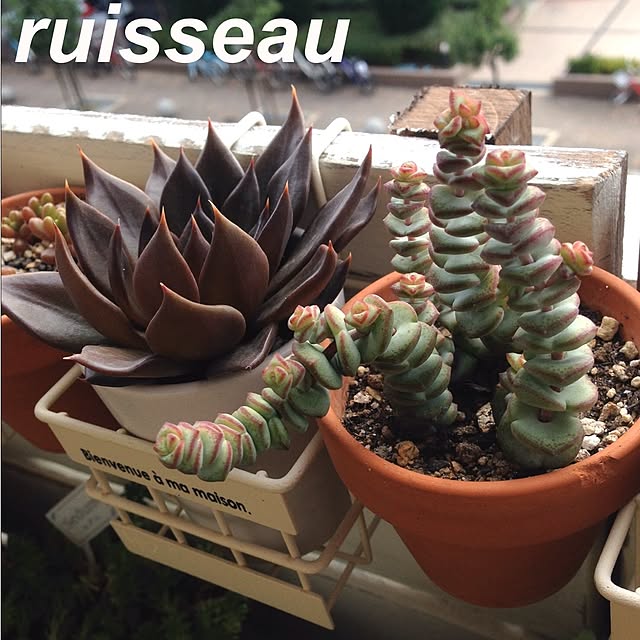 ruisseauさんの実例写真