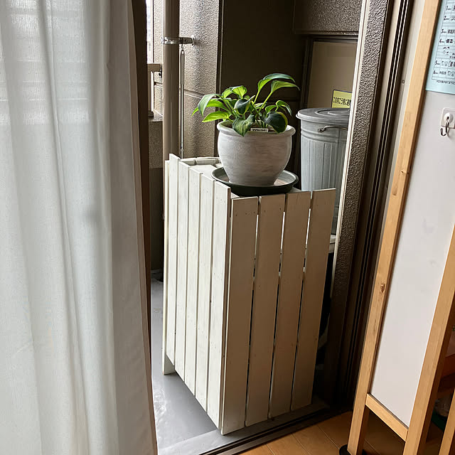koshiregutyoさんの部屋