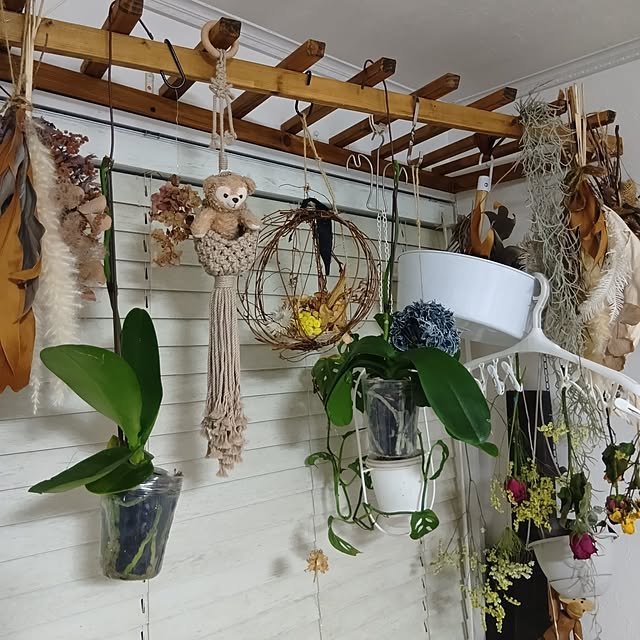 tomomiさんの部屋