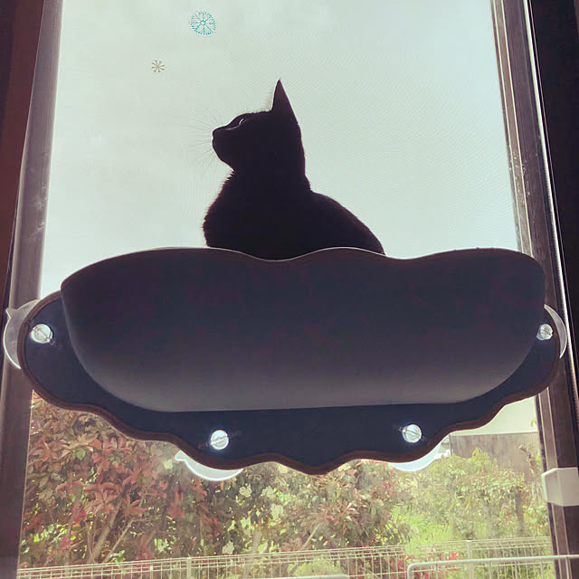 arashi530さんの実例写真