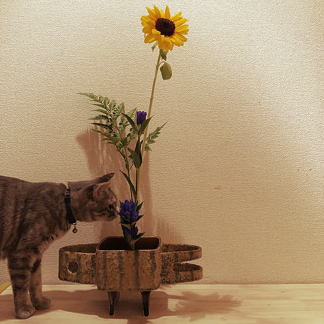 naworinさんの実例写真