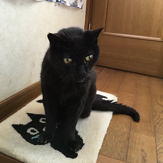 TiffanyTさんの実例写真