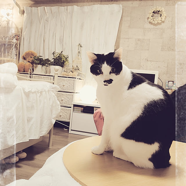 asuminさんの実例写真