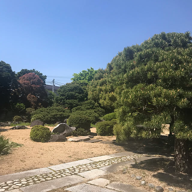 yukichi.wanwaさんの実例写真