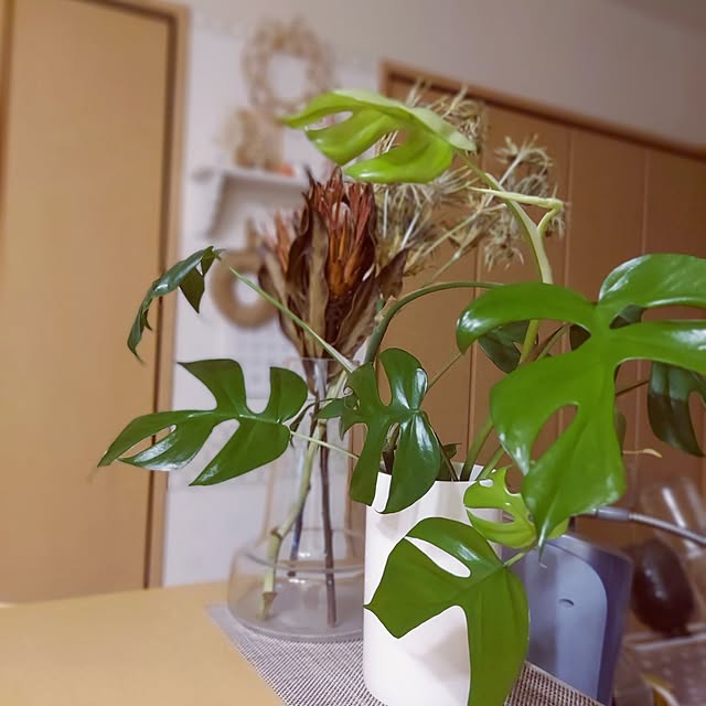 makkyさんの部屋