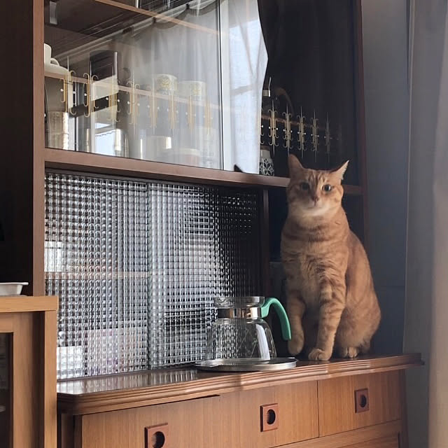 mokiさんの実例写真