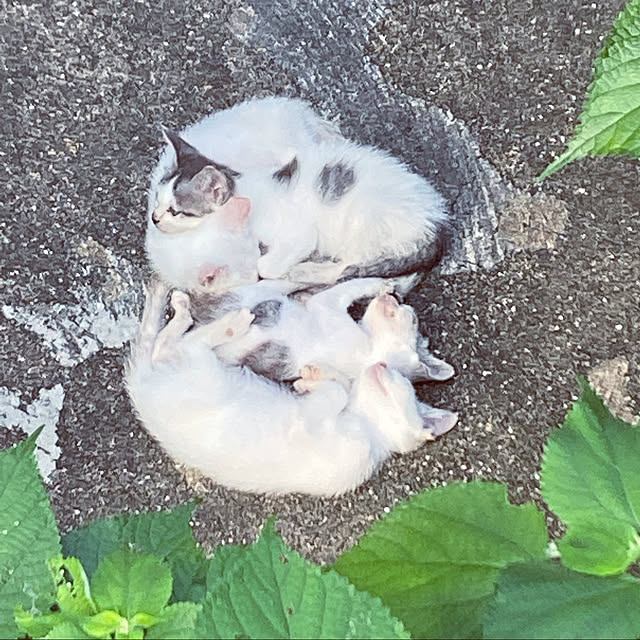 reeさんの実例写真
