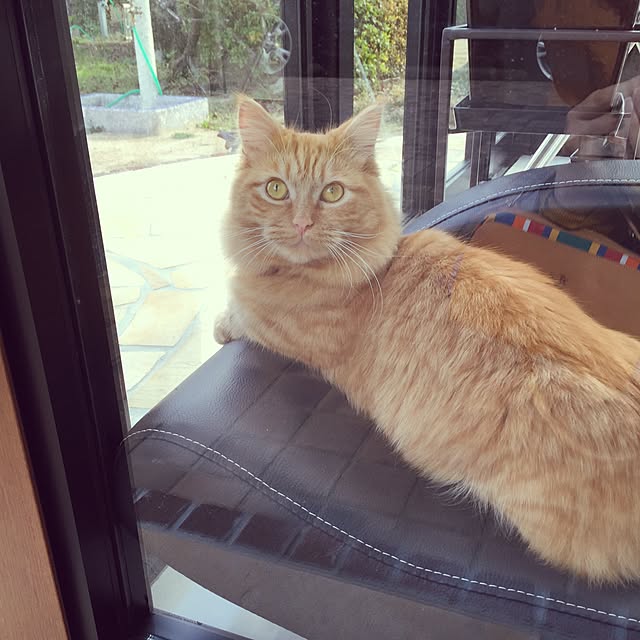 rintomoさんの実例写真