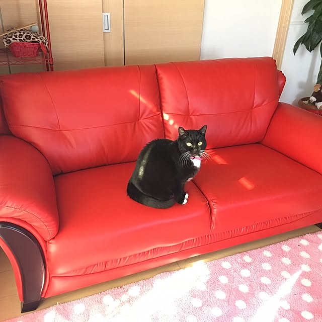 Hecacoさんの実例写真