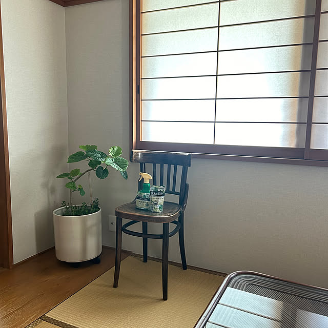 botanさんの部屋