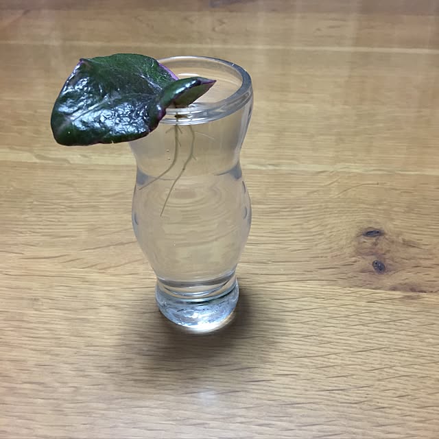skitさんの実例写真