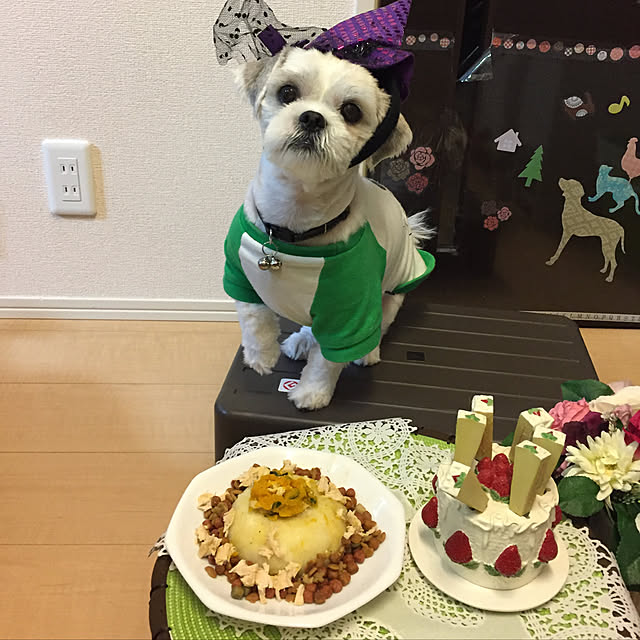 emiさんの実例写真