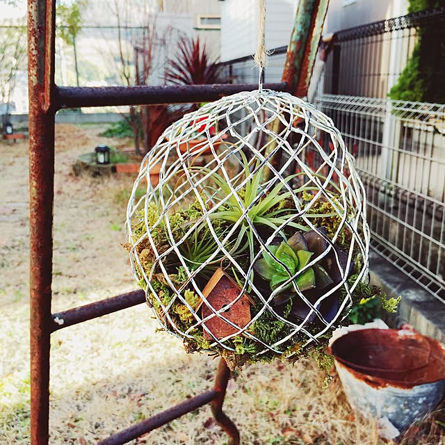 ichiさんの実例写真